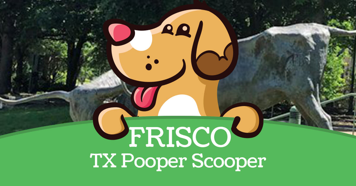 Frisco, TX Pooper Scooper Service Super Scoopers